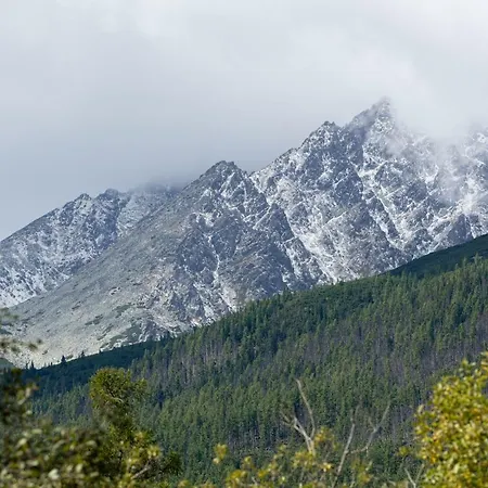 Lejlighed Hrebienok C211 *